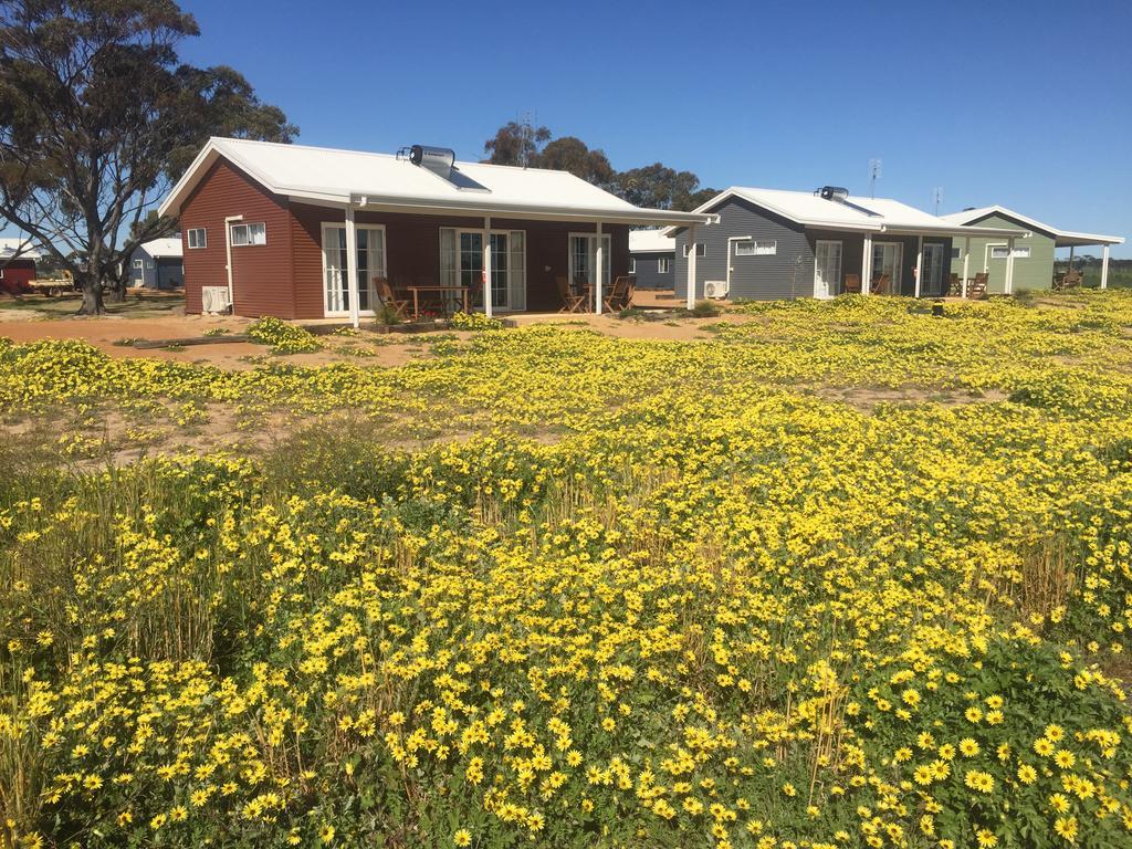 Mary'S Farm Cottages Kukerin 외부 사진